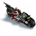 LEGO 76118 DC Batman Mr. Freeze Batcycle Battle 2in1 Bike Set Batman and Robin Cycle Chase