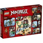 LEGO Ninjago 70604: Tiger Widow Island Mixed