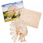 DIY 3D Wooden Puzzle Jigsaw Puzzle The Best Gift for Adults and Children STEM Toys 3 Piece Puzzle Set (Butterfly Peacock Flying Dragon)