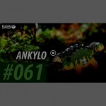 EUGY 061 Ankylo Eco-Friendly 3D Paper Puzzle [New Seal]