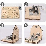 Hand Crank Musical Case - 3D Wooden Puzzle Craft Model Brain Teaser DIY Model Building Kits Best Educational Christmas Birthday Day Gift for Adults & Teens Age 14+