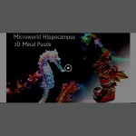 Microworld D019 Mechanical Hippocampus 3D Metal Puzzle Challenge Model Building Kits Jigsaw Laser Cut Brain Teaser DIY Puzzles for Adults Men Boys