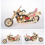 Model of Harley Fans 3D Puzzle Balody World Famous Architecture Blocks Toy Assembly Wooden Home Decors Adult Craft Kits World Famous Model Challenge for Adults Teenagers Birthday Gift(98 Slice)