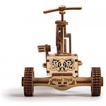 Wood Trick 3D Wooden Bicycle Toy Model - Bicycle Model Kit Mechanical Model to Build - 3D Wooden Puzzle Assembly Model ECO Wooden Toys Best DIY Toy - STEM Toys for Boys and Girls