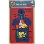 Craft for Kids Human Body Puzzle (Red Blue)