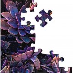 BetterCo. - Purple Succulents 1000 Piece - Difficult Jigsaw Puzzles 1000 Pieces - Challenge Yourself with 1000 Piece Puzzles for Adults Teens and Kids