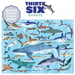 Crocodile Creek 4054-8 Shark Piece Puzzle in Canister Jigsaw FloorPuzzle 14 x 19 Blue/Green/Orange/Red/Pink