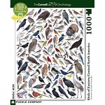 New York Puzzle Company - Cornell Lab Birds of Eastern/Central North America - 1000 Piece Jigsaw Puzzle