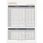CARDDIA Japanese Syllabary - Katakana (with Stroke-Order Diagrams and Example Words)