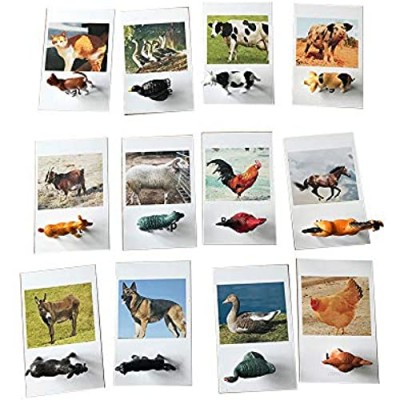 Esoes Animal Model Card - 12 Sets of Mini Farm Animal Toy Figurines with Matching Cards - Learning Toys for Kids Educational Toys Flash Cards Matching Letter Game Bathtub Toy Playset