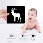 MINTLIFE High Contrast Flash Card for Baby and Toddler 4Packs 96 Cards 192 Pictures (5.5'X5.5') Black and White and Colorful Objects stimulating Brain and Recognition Development
