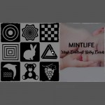 MINTLIFE High Contrast Flash Card for Baby and Toddler 4Packs 96 Cards 192 Pictures (5.5'X5.5') Black and White and Colorful Objects stimulating Brain and Recognition Development