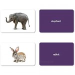 Picture My Picture Nouns Flash Cards | 200 Language Photo Cards | Speech Therapy Materials and ESL Materials