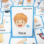 SANTSUN 36 Pieces of My Body Parts Flash Cards for Toddlers- The Flash HolePunched- So You can sort and Organize The Cards Easily and Early Learning Kindergarten Teacher Tools