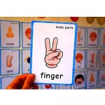 SANTSUN 36 Pieces of My Body Parts Flash Cards for Toddlers- The Flash HolePunched- So You can sort and Organize The Cards Easily and Early Learning Kindergarten Teacher Tools