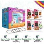 Star Right Flash Cards Set of 4 - Numbers Alphabets First Words Colors & Shapes - Value Pack Flash Cards with Rings for Pre K - K