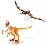 Jurassic World Toys Amber Collection Pteranodon