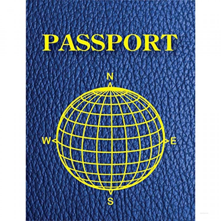Ashley Productions ASH10708BN Blank Passports 12 Per Pack 3 Packs