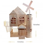 Pica Toys 3D Wooden House with Solar Windmill and Electric Light | Physical Circuit Education Building Model - Pure Real Wood Science Stem Kit | DIY Creative Experiment