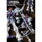 Bandai Hobby Gundam Wing P-BANDAI Sandrock Custom EW MG 1/100 Model Kit