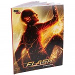 DC Comics The Flash 3D Wood Puzzle & Model Figure Kit (42 Pcs) - Build & Paint Your Own 3-D Toy - Holiday Educational Gift for Kids & Adults No Glue Required 10+