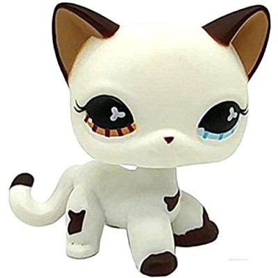 Greneric Littlest Pet Shop  LPS Toy Mini Pet Toys Brown/Blue Eyes White Cat Hand Painted Figures Collection Boys Girls Kids Gift Set
