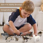 Mini Tudou 8 PCS Multicolor Wolf Toys Figures Animal Figurines Jungle Pack.Cool Collection & Exhibits Best Gift For Ages 3 4 5 Boys & Girls