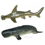 Safari Ltd Ocean TOOB Comes With 12 Different Hand Painted Animal Toy Figurine Models Including Sea Lion Eagle Ray Starfish Turtle Penguin Octopus Humpback Whale Sperm Whale Moray Eel Hammerhead Shark Tiger Shark and Dolphin For Ages 5 and Up