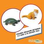 Safari Ltd. Pets TOOB - Includes 12 BPA Pthalate and Lead Free Hand Painted Figurines - Ages 3+