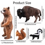 TOYMANY 12PCS North American Forest Animal Figurines Realistic Safari Animal Figures Set Includes Raccoon Lynx Wolf Bear Eagle Educational Toy Cake Toppers Christmas Birthday Gift for Kids Toddlers