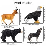 TOYMANY 12PCS North American Forest Animal Figurines Realistic Safari Animal Figures Set Includes Raccoon Lynx Wolf Bear Eagle Educational Toy Cake Toppers Christmas Birthday Gift for Kids Toddlers