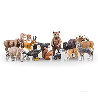 TOYMANY 12PCS North American Forest Animal Figurines  Realistic Safari Animal Figures Set Includes Raccoon Lynx Wolf Bear Eagle  Educational Toy Cake Toppers Christmas Birthday Gift for Kids Toddlers