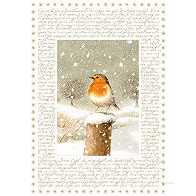 Coppenrath Christmas Robin Big Traditional German Advent Calendar 41 cm Wide x 46 cm Glitter Gold foil and Hanging Ribbon