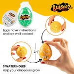 Dinosaur Hatching Eggs in Water Toys - 4 Pack Magic Dino Egg Hatchable Growing in Water for Science Educational Easter Party Play Gifts for Kids Girls Boys 4 Dinosaurs Fun Fact Cards Four Dino Sticks
