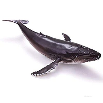 AIKENR Humpback Whale Toy Model  Ocean Animals  14 Inches Soft Squeezable Bath Toys  Soft Hand-Painted Skin Texture Sea Life Collection  Party Favors