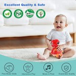 HOLA Baby Musical Toys 12 Months Grab Touch & Go Music Light Baby Crawling Toys Infant Toddler Baby Toys for 1 Year Old Boys Girls