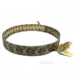 1.25 Rattlesnake Hat Band with Head & Rattle (598-HB204)