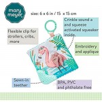 Mary Meyer Crinkle Teether Toy with Baby Paper and Squeaker 6 x 6-Inches Tingo Flamingo (Model: 43131)