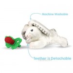 RAZBABY Razbuddy Razberry Teether/Pacifier Holder w/Removable Baby Teether Toy - 0M+ - Bpa Free - Bunny