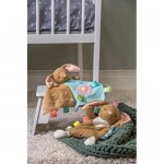 Taggies Lovey Soft Toy 11-Inches Harmony Bunny