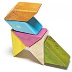 6 Piece Tegu Pocket Pouch Prism Magnetic Wooden Block Set Tints